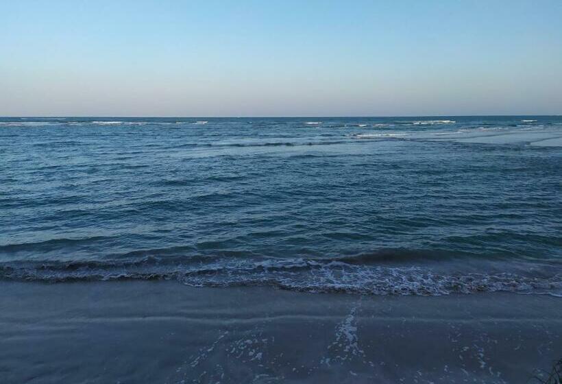 بنسيون Recanto Das Folhas