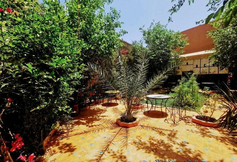 ペンション Riad Fennec Sahara