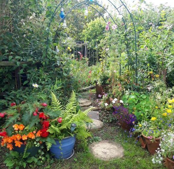 بنسيون Rosedale Cottage