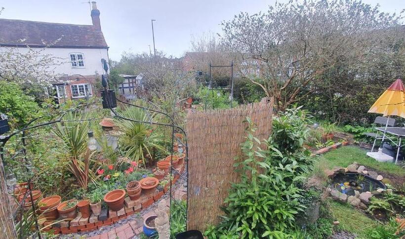 بنسيون Rosedale Cottage