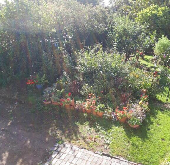 بنسيون Rosedale Cottage