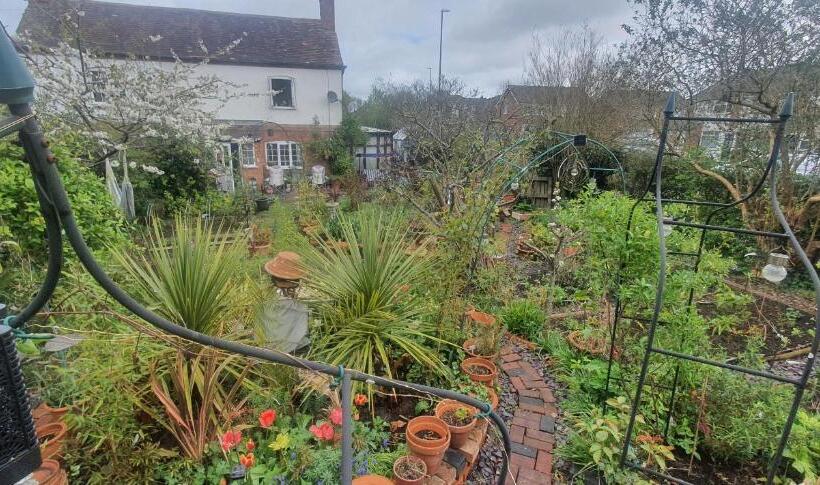 بنسيون Rosedale Cottage