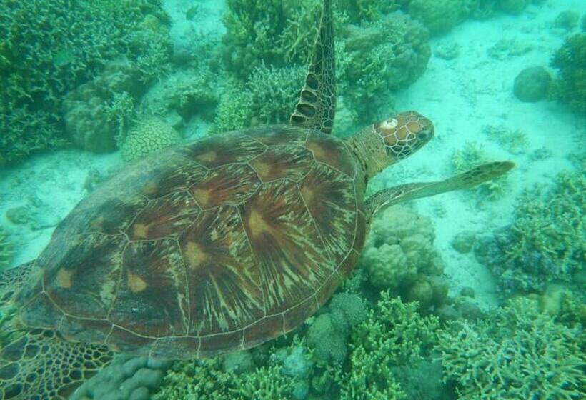 پانسیون Sambag Hideaway Bungalows