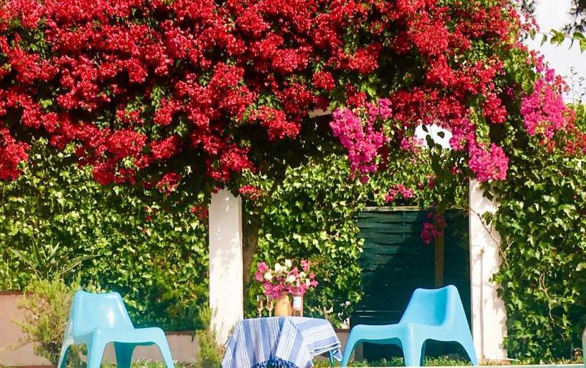 פנסיון Villa Canto Da Lua