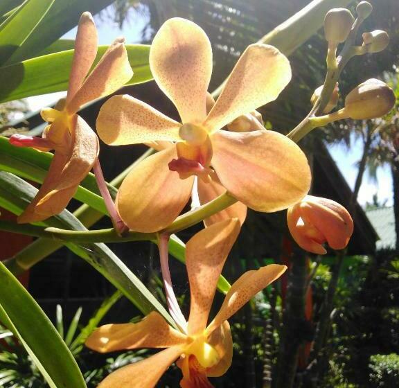 Курорт Sanuk Bungalow