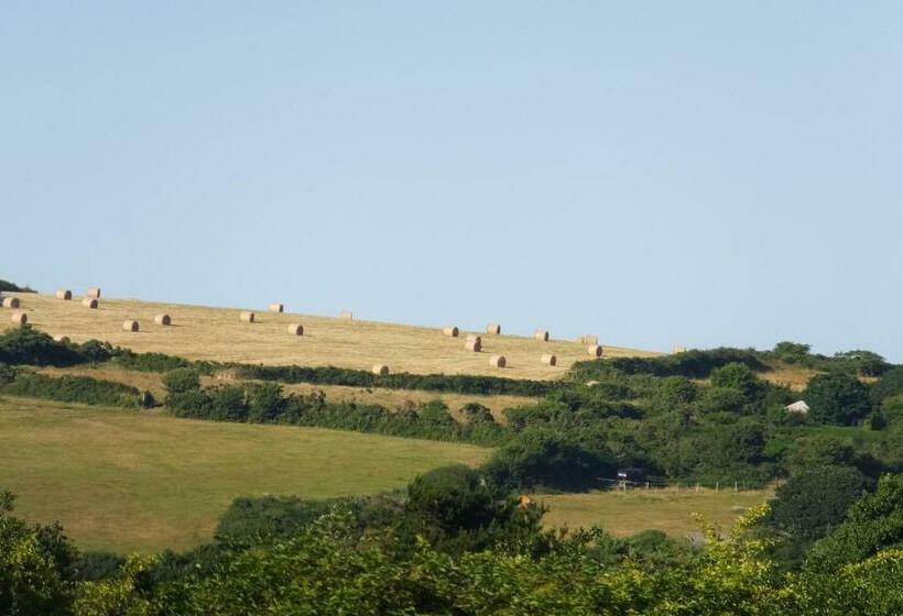 Rose Vean Bed & Breakfast