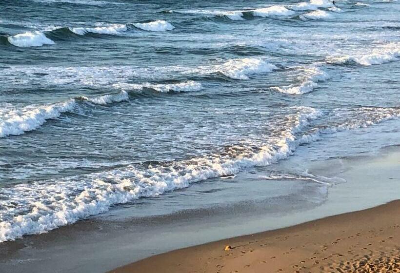 민박 At The Gallery