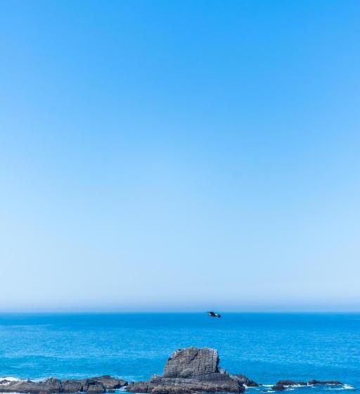 تختخواب و صبحانه Azul