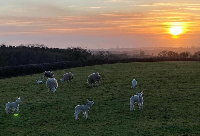 צימר Dan Y Graig Barn, Carmarthen