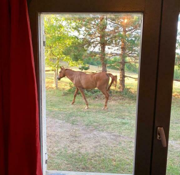 住宿加早餐  La Meyssonnié