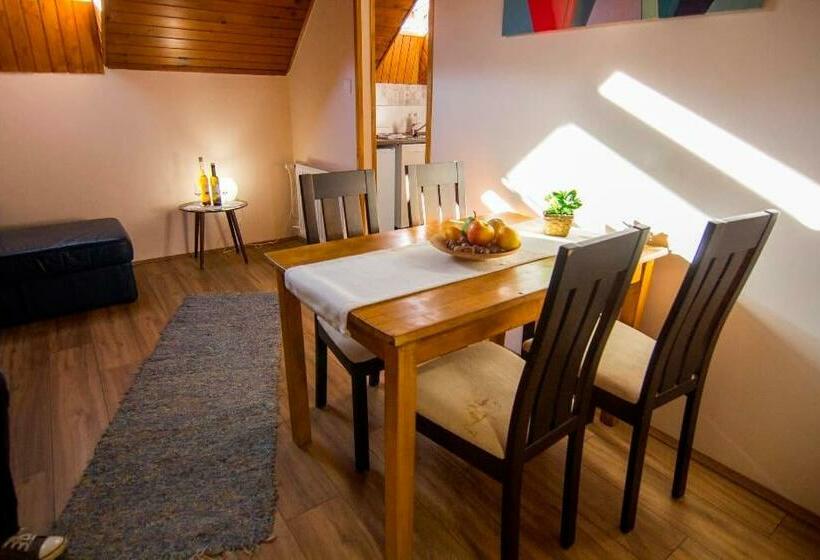 مبيت وإفطار Natúra Panzió&apartmanház