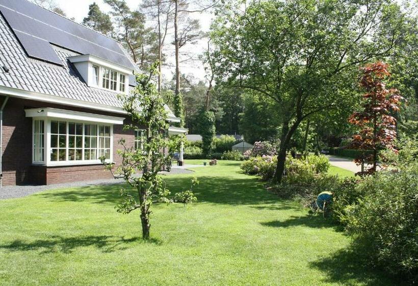 Bed & Breakfast Op T Leven