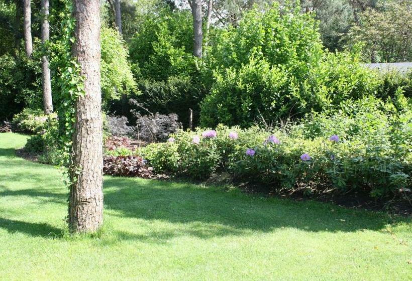 Bed & Breakfast Op T Leven