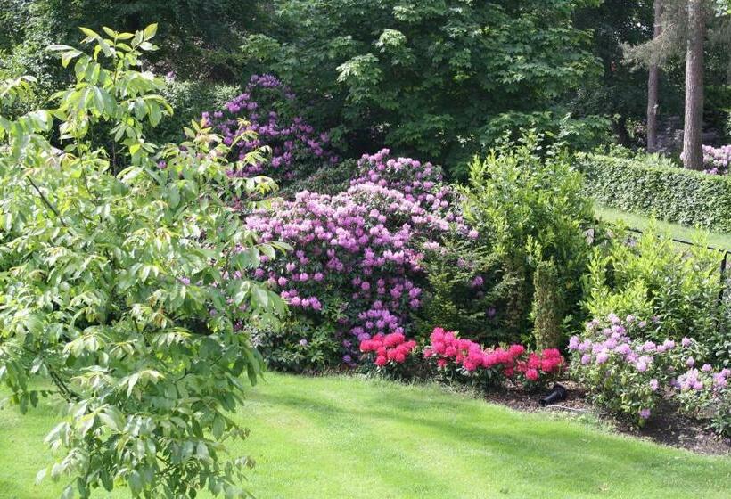 Bed & Breakfast Op T Leven