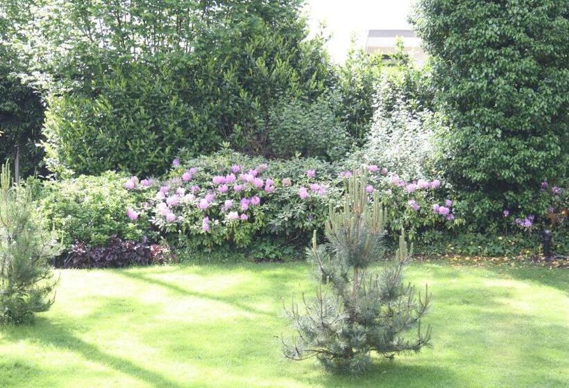 Bed & Breakfast Op T Leven