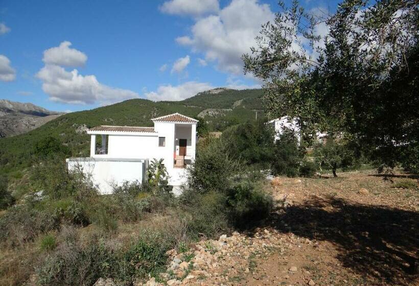 בית מלון כפרי Casa Arts Guest Rooms