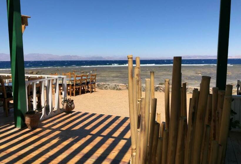 هتل Dahab Beach Lodge