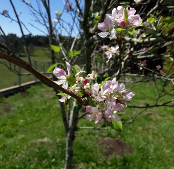 Отель Pousada Rural Colina Do Sol