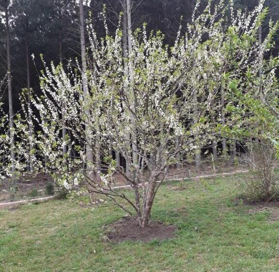 Отель Pousada Rural Colina Do Sol