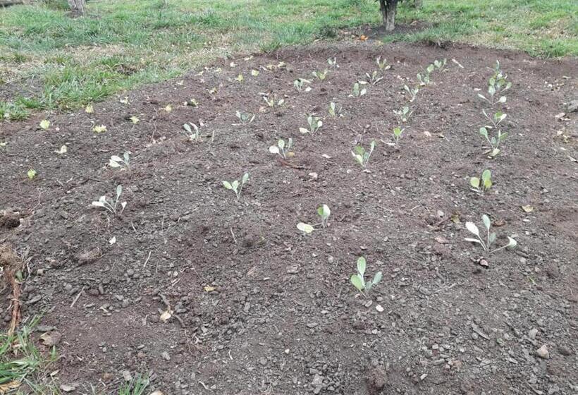 Отель Pousada Rural Colina Do Sol