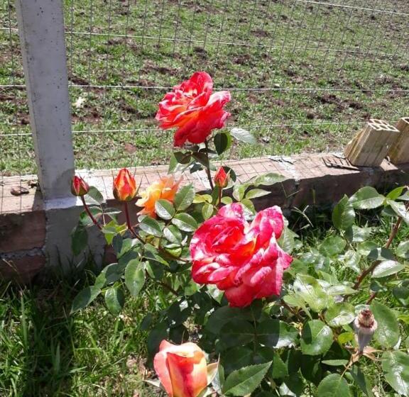 Отель Pousada Rural Colina Do Sol