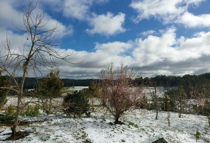 Отель Pousada Rural Colina Do Sol