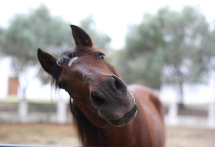 Masia Can Rovira   Esc1852