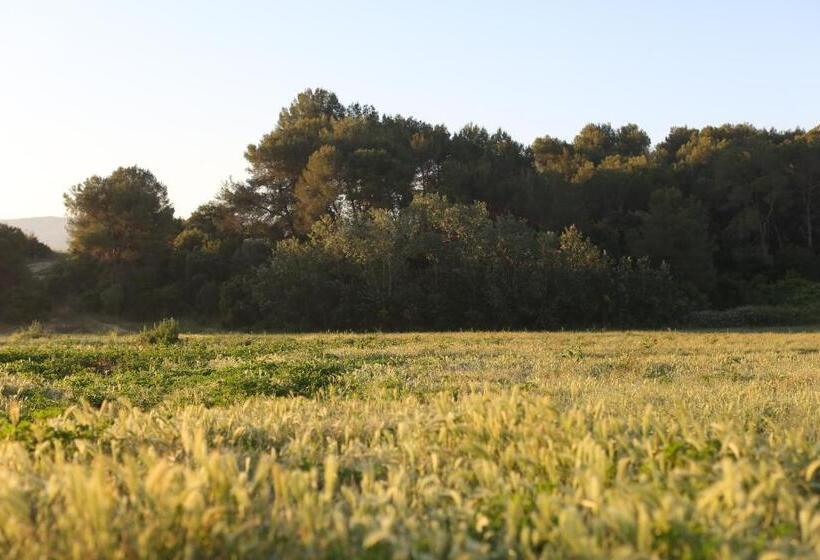 Masia Can Rovira   Esc1852