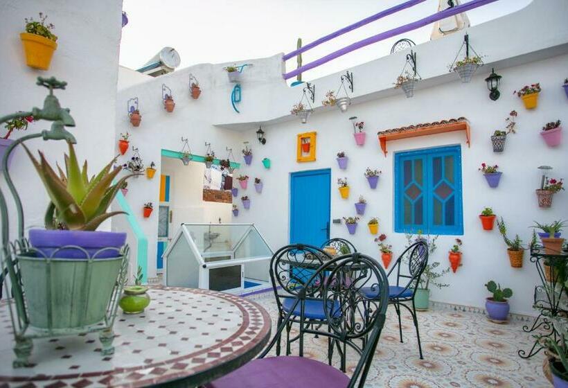 پانسیون Afra House