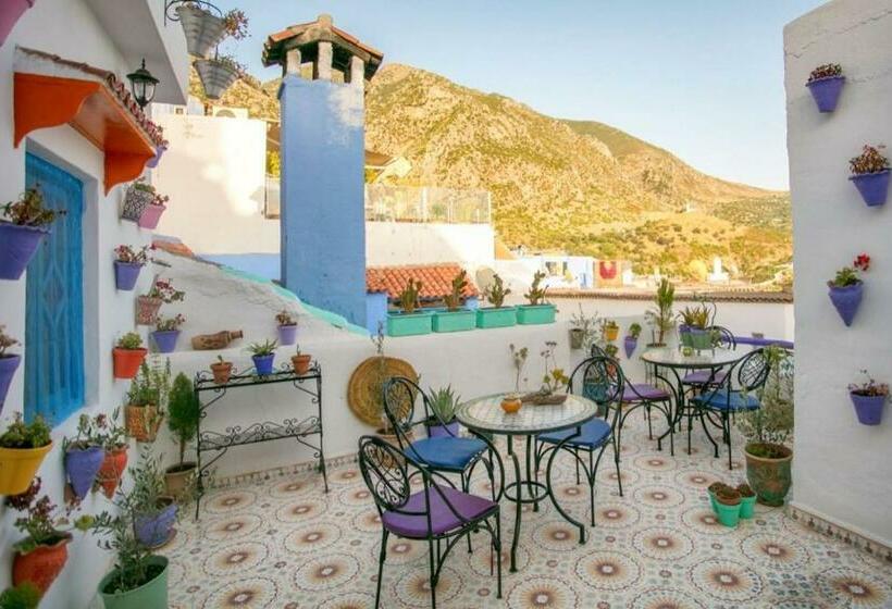 پانسیون Afra House