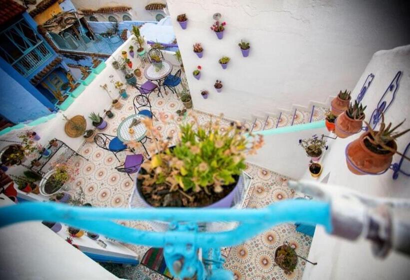 پانسیون Afra House