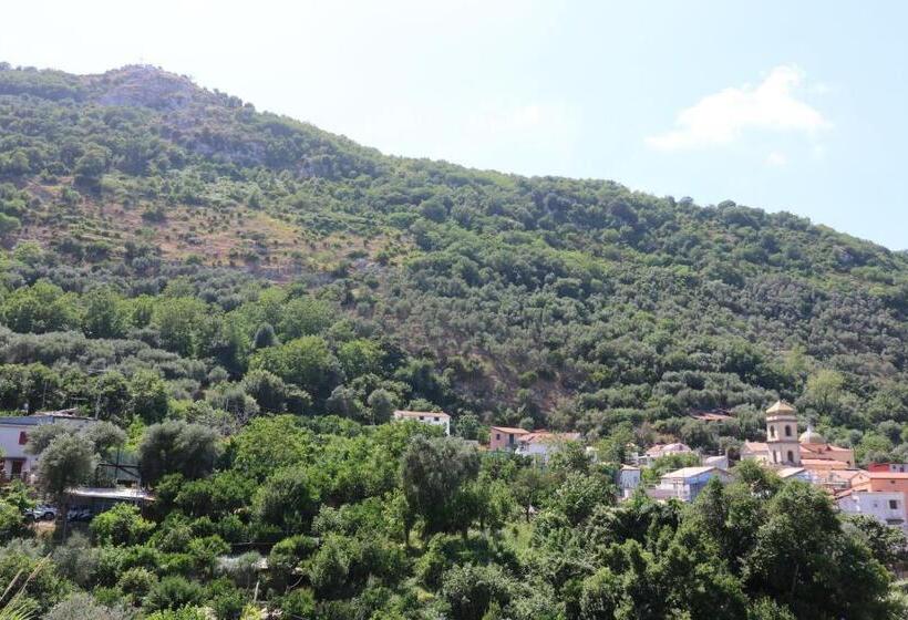 פנסיון B&b Casa Rosola