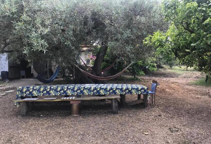 ペンション Casa Delle Sirene Nto Principe