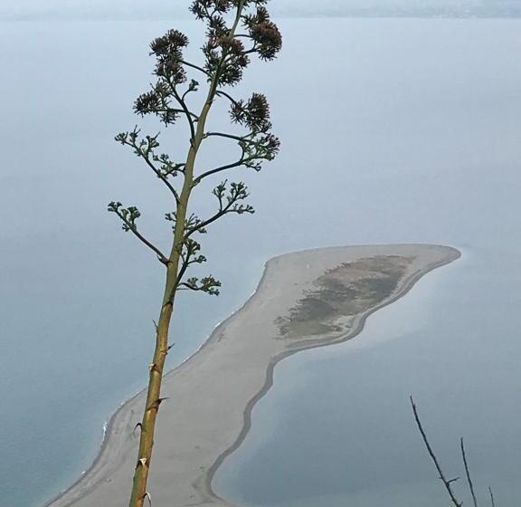 ペンション Casa Delle Sirene Nto Principe