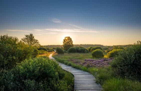 펜션 Côté Terrasse