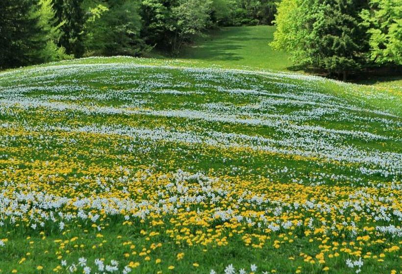 پانسیون Dom Pristava