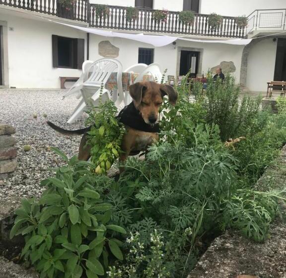 פנסיון Fragole E Menta