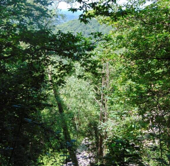 膳宿费 Fragole E Menta