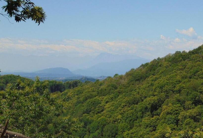 膳宿费 Fragole E Menta