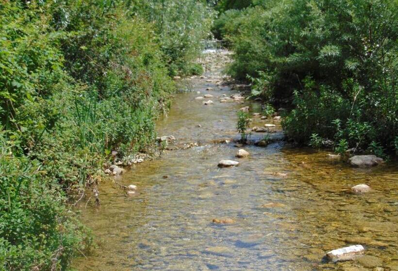 פנסיון Fragole E Menta