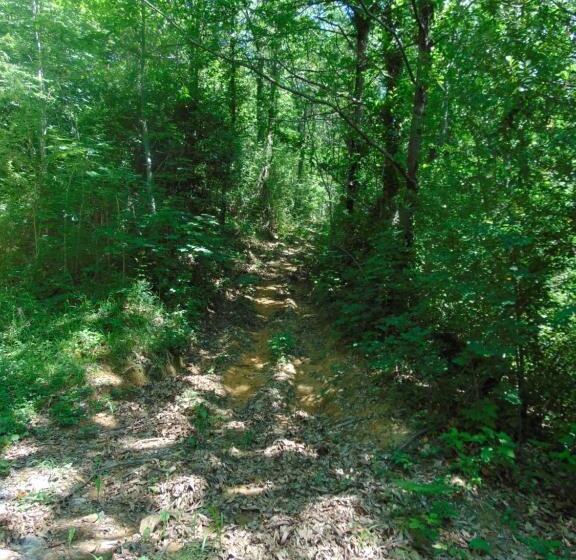 膳宿费 Fragole E Menta