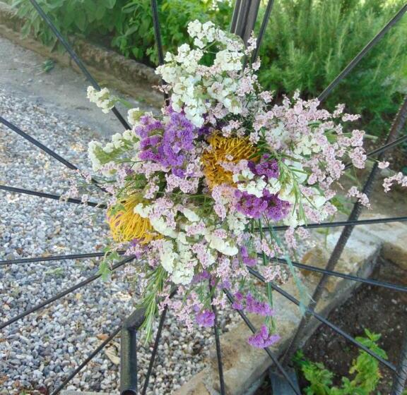 膳宿费 Fragole E Menta