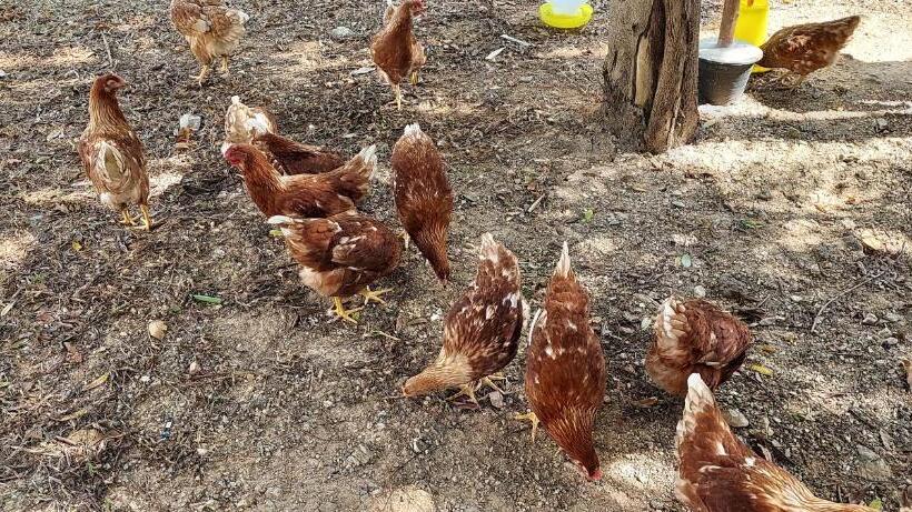 פנסיון Khwahol Guesthouse