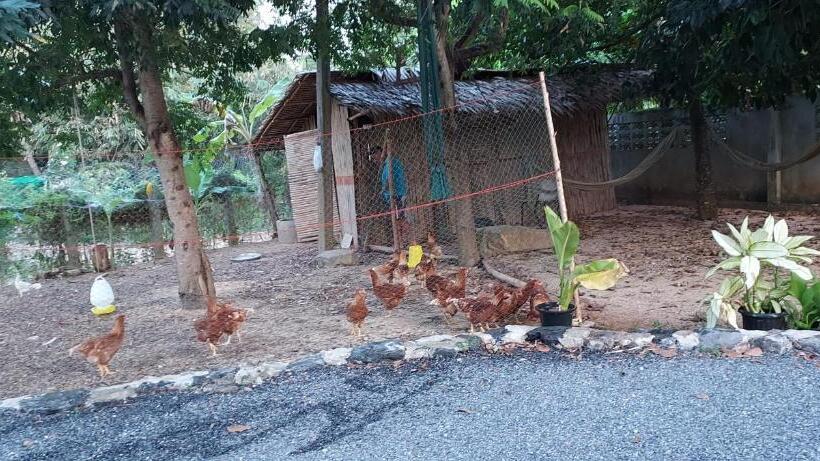 פנסיון Khwahol Guesthouse