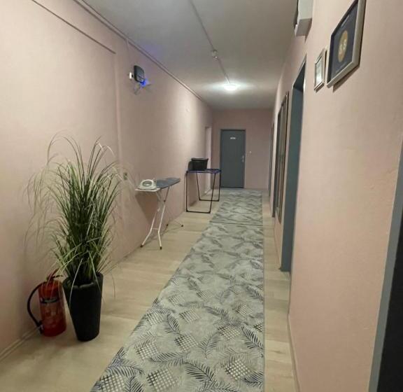 פנסיון Privatzimmer Hammrich