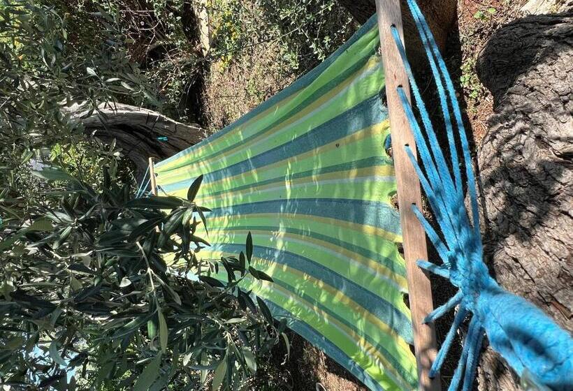 بنسيون Prospettiva Polignano