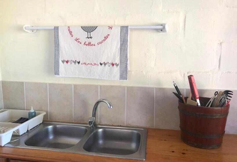 بنسيون Yellow House Prince Albert