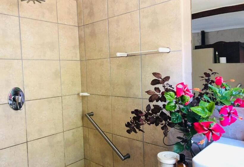 بنسيون Yellow House Prince Albert