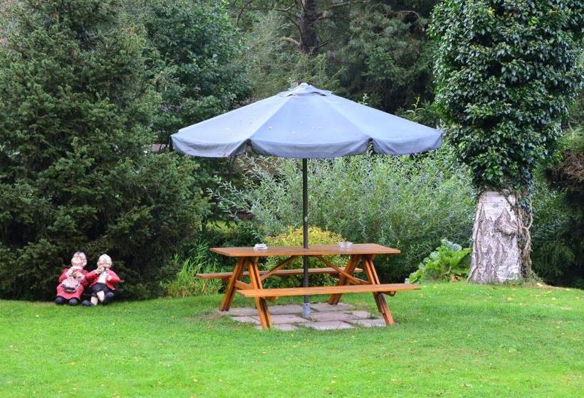 Pension Dita   Adršpach