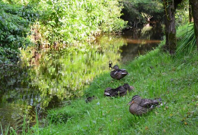 Pension Dita   Adršpach